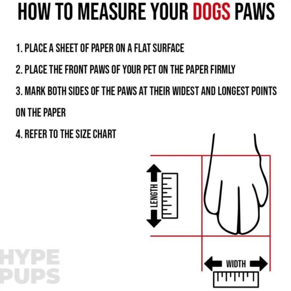 Hype Pup Size 3 Dog Sneakers – Brand New, Never Used - Picture 4 of 4